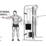 Curl polea alta a un brazo