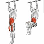 Hanging Knees Raises