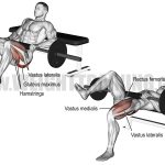 Hip-Thrust a una pierna