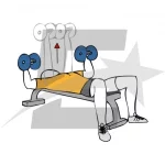 Press mancuernas en banco plano