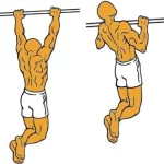 Pull-Ups
