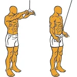 Pullover polea alta barra