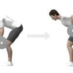 Remo en barra Z de pie agarre prono