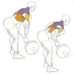 Remo en barra de pie agarre supino