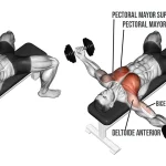 Apertura pectoral con mancuernas banco plano