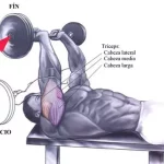 Press francés barra Z