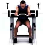 Curl barra Z en banco Scott