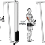 Jalón tríceps polea cuerda