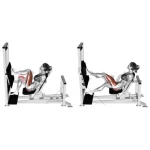 Prensa horizontal a una pierna alta