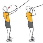 Curl predicador barra desde polea alta dos brazos