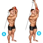 Extensión trasnuca polea baja a un brazo