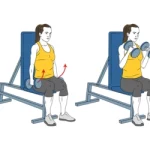 Curl martillo sentado al unísono