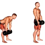 Peso muerto con mancuernas