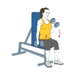 Curl martillo sentado alterno