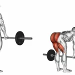 Peso muerto rumano con barra